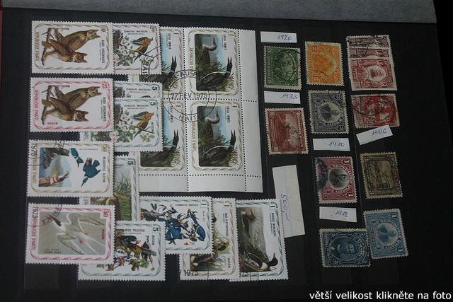 IMG-3369.jpg