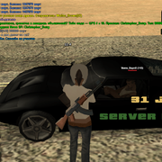 sa-mp-491