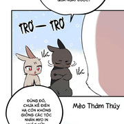 060