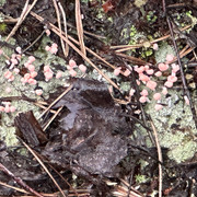 IMG 4822