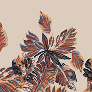 Shutterstock Border (98)
