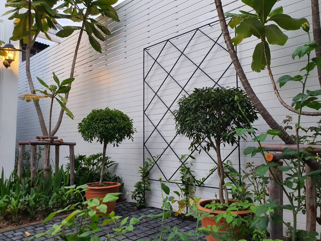 Garden-1.jpg