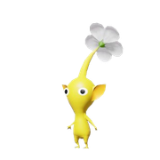 yellow2 removebg preview