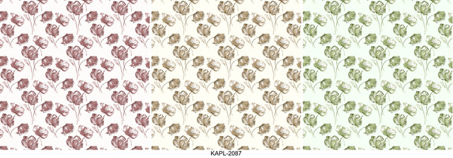 KAPL 2087.jpg