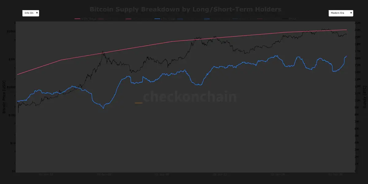 Bitcoin Investors Hold Firm