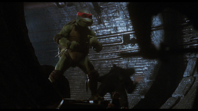 TMNT 146 T