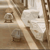 Dn144ov8auo-L.gif