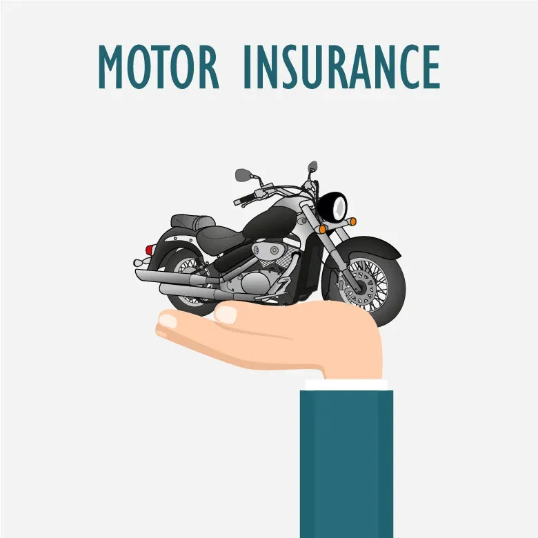 Vehicle Insurance