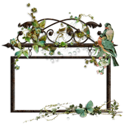 cluster-frame-157