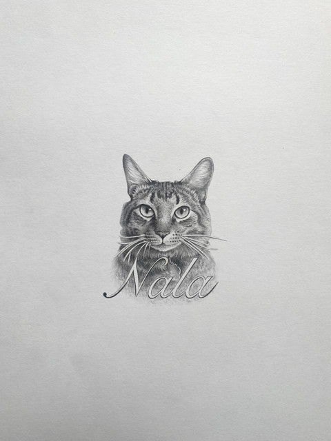 Nala — retrato en papel