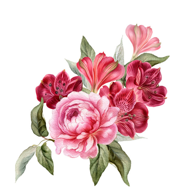 shutterstock 528646444.jpg