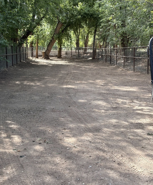 Tito's Lawn Care work in Albuquerque