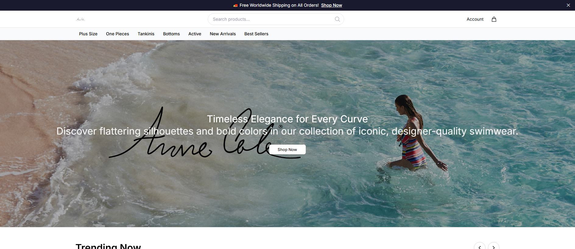 Stored capture of annecoleswimwearboutique.shop