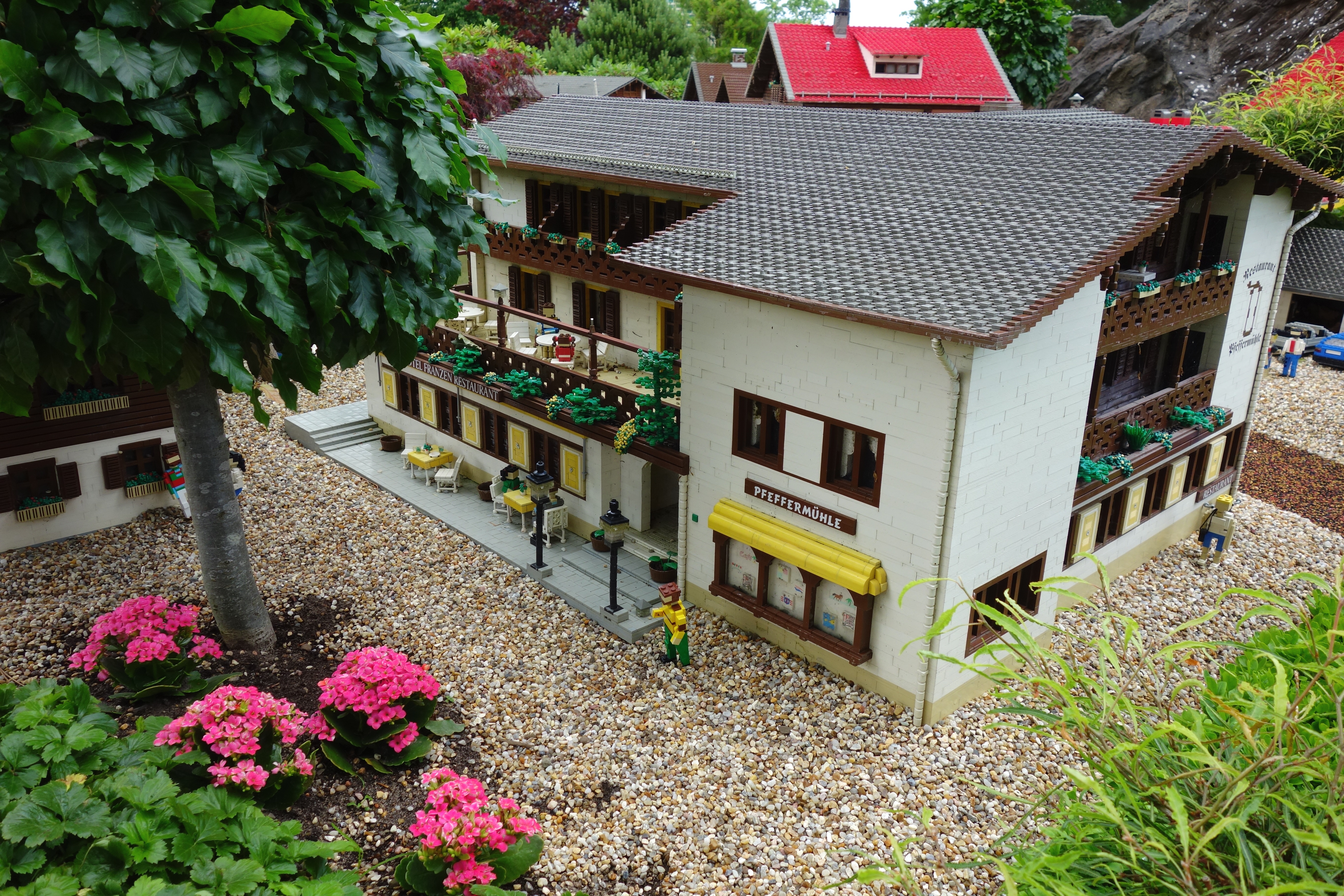 DSC00182