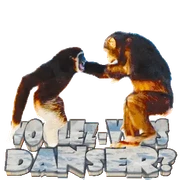 funny animals joke