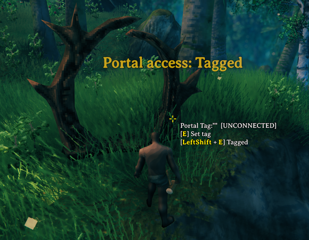 Tagged portal