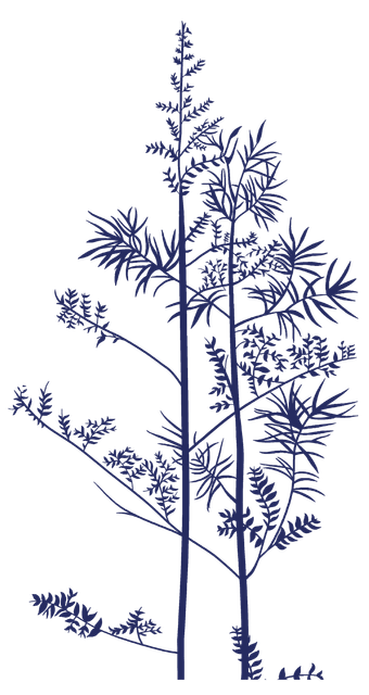 1ee591414a349e161c0a4e6622a67345.png