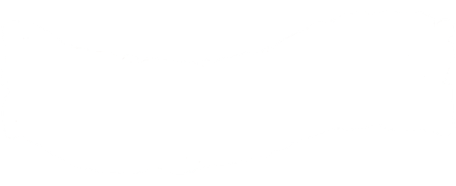 Transparent.png