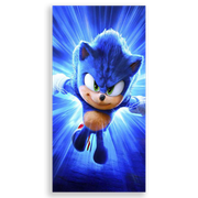 31001566-Sonic
