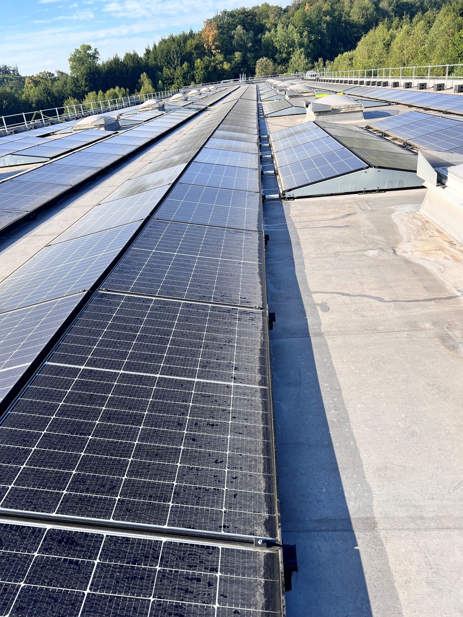 Stark verschmutztes Solarmodul einer 347-kWp-Gewerbeanlage in Lindlar – graue Ablagerungen und dunkle Flecken auf der Moduloberfläche, erst drei Jahre alt