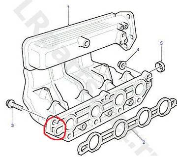 https://i.ibb.co/0RTMpCZ8/Rg1AD.jpg