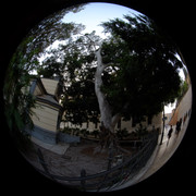 DSCF8972