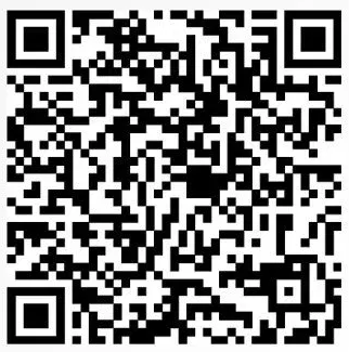 UPI QR Code — ₹501 Consultation Fee