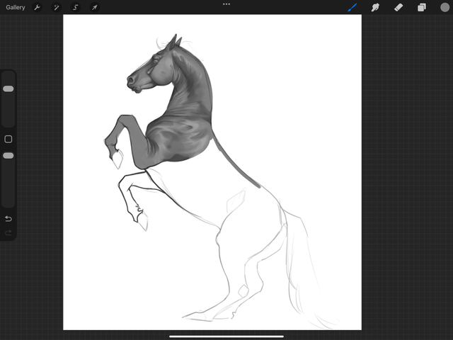 IMG 0168.png