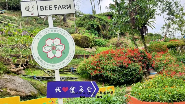玉蜂谷蜜蜂园10