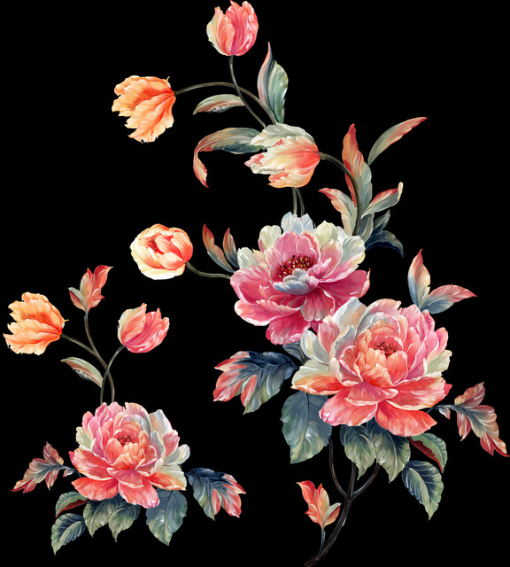 shutterstock 2411251351.jpg