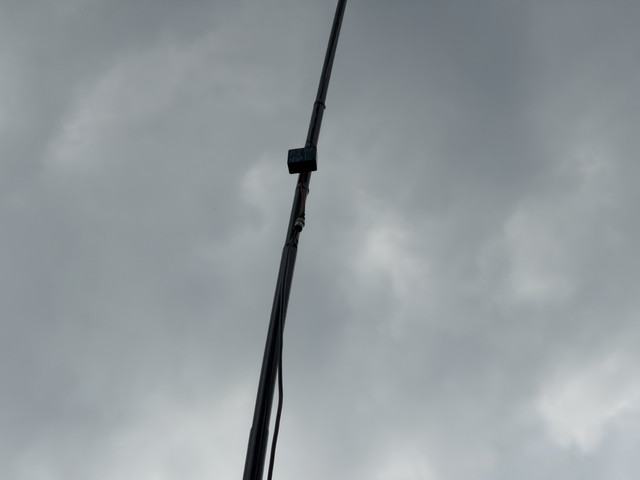 IMG 7241.jpg