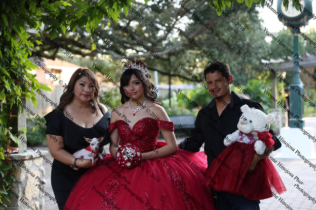 IMG 2470