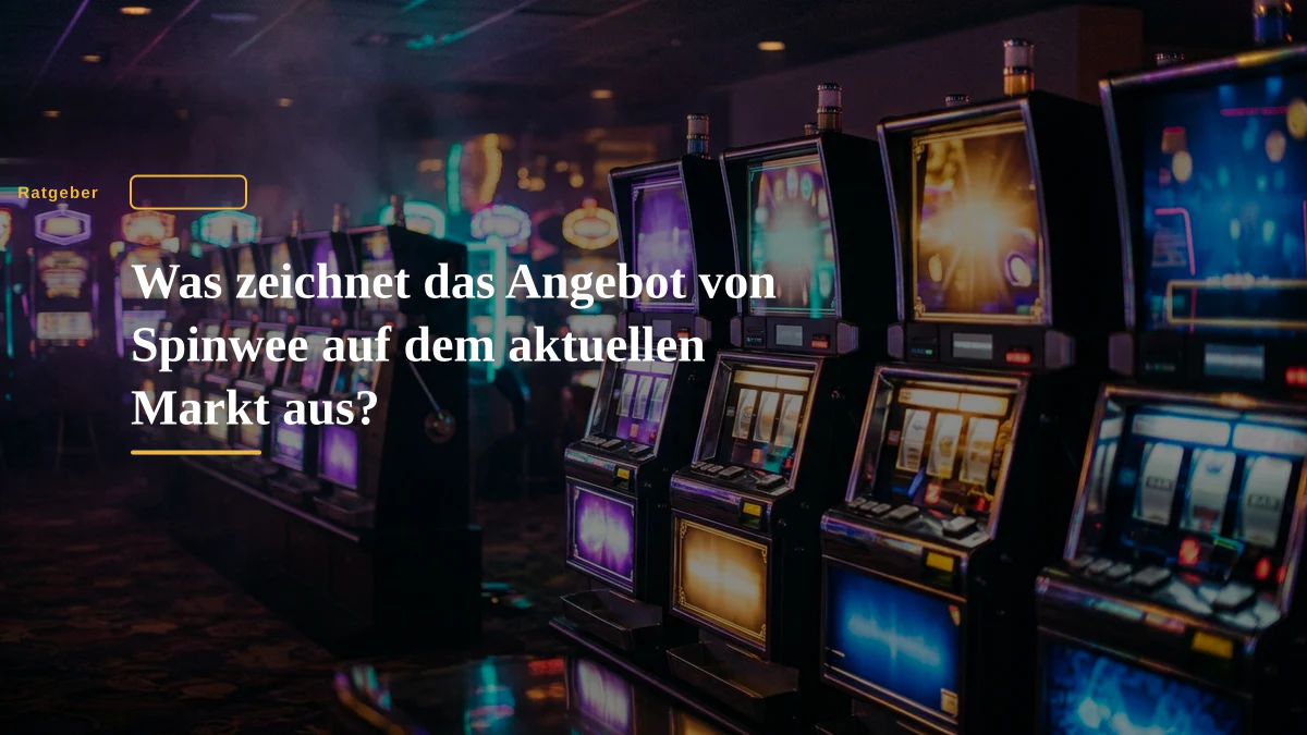 Was zeichnet das Angebot von Spinwee auf dem aktuellen Markt aus?