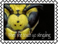 stingaling