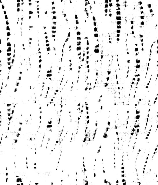 989898.jpg