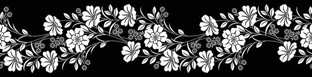 shutterstock 1417080461.jpg