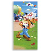 31000641-Disney-Parque-Ana