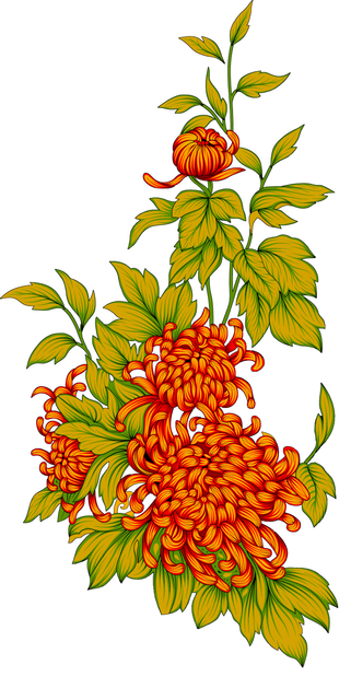 eb2824b4024c2145152706eadda3c986.png
