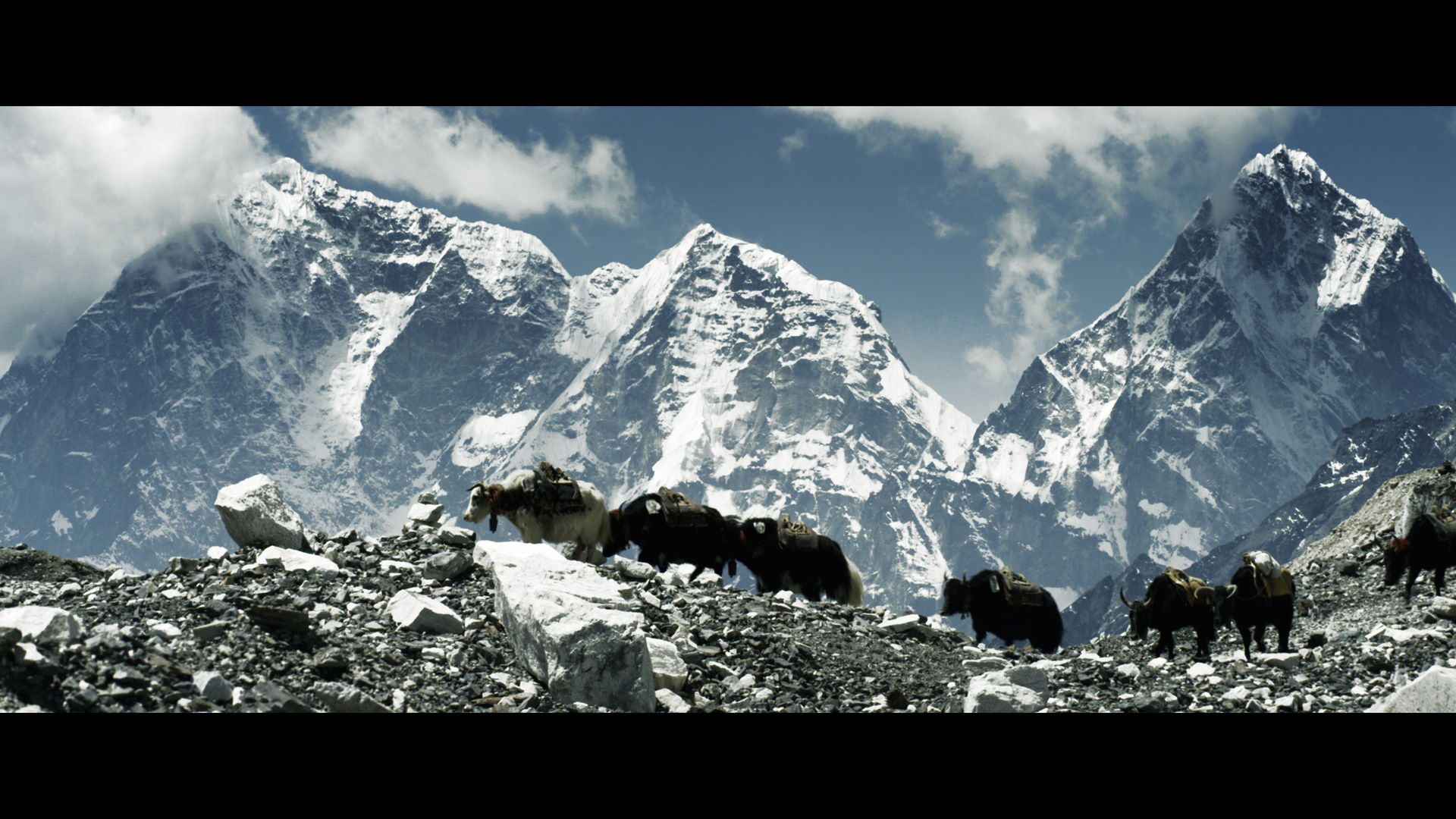 Movie cover image