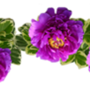 0-99187-c11b7fbb-M