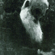 kli00197
