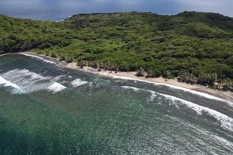 Île de Caille 5