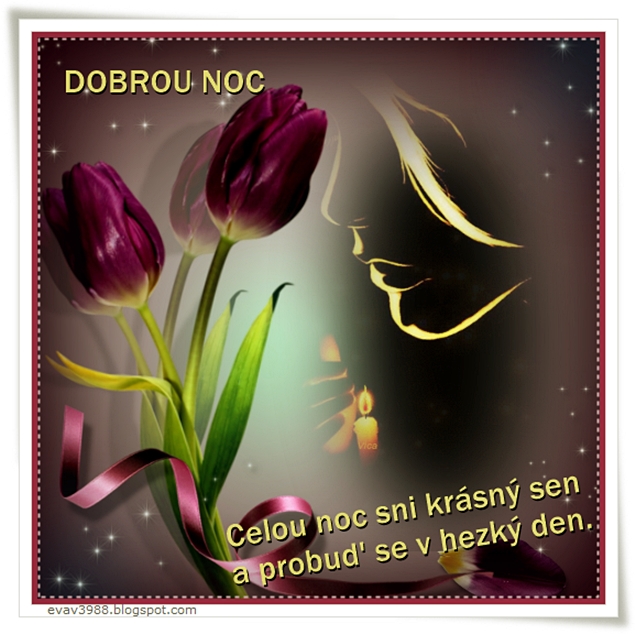 DOBROU NOC.jpg