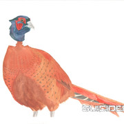 Painting9