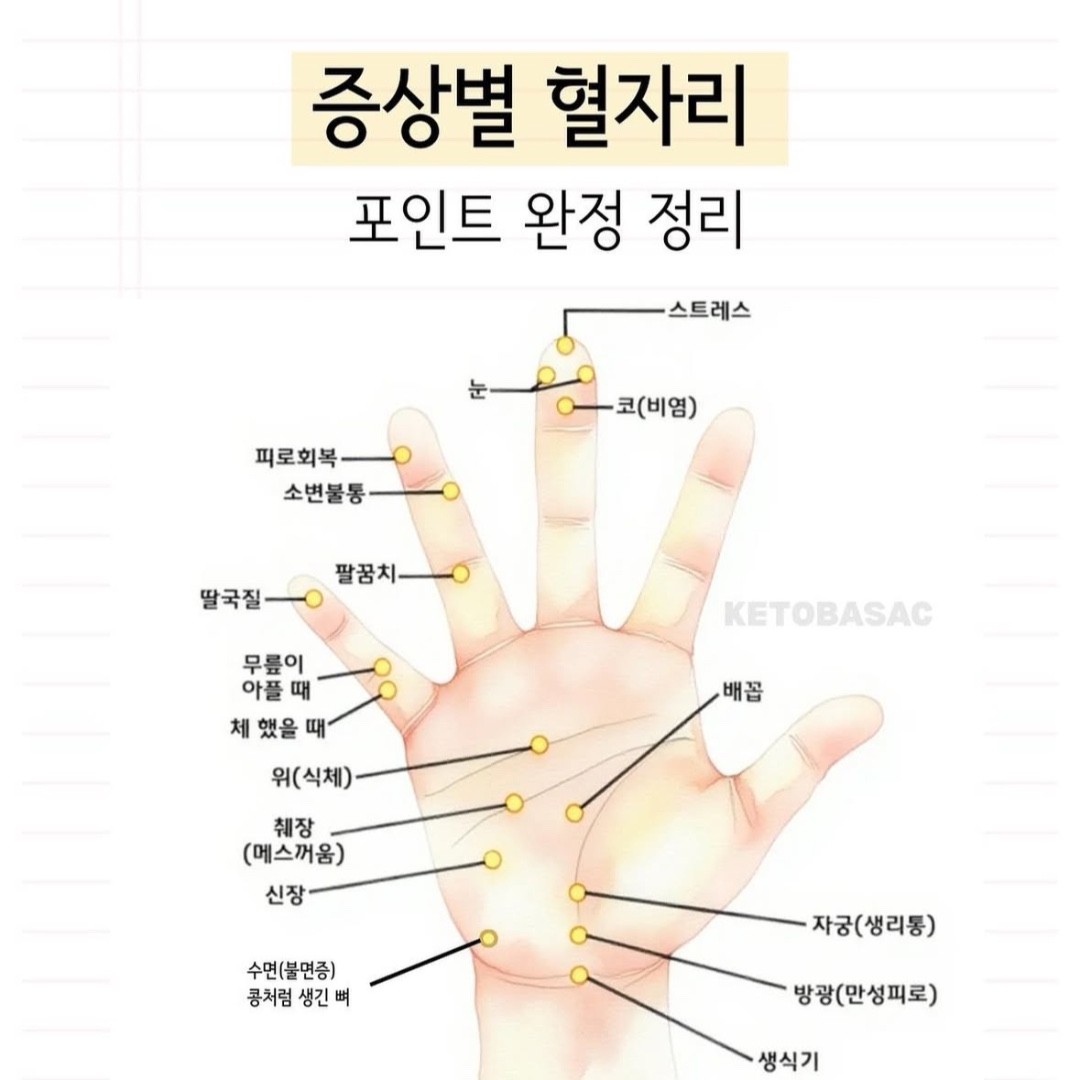 혈자리 지압