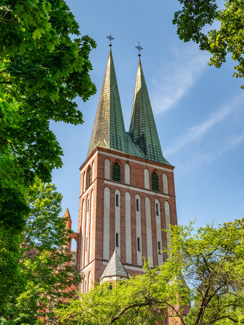 warmia d2 14.jpg