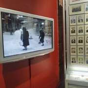 IMG-20250308-163853
