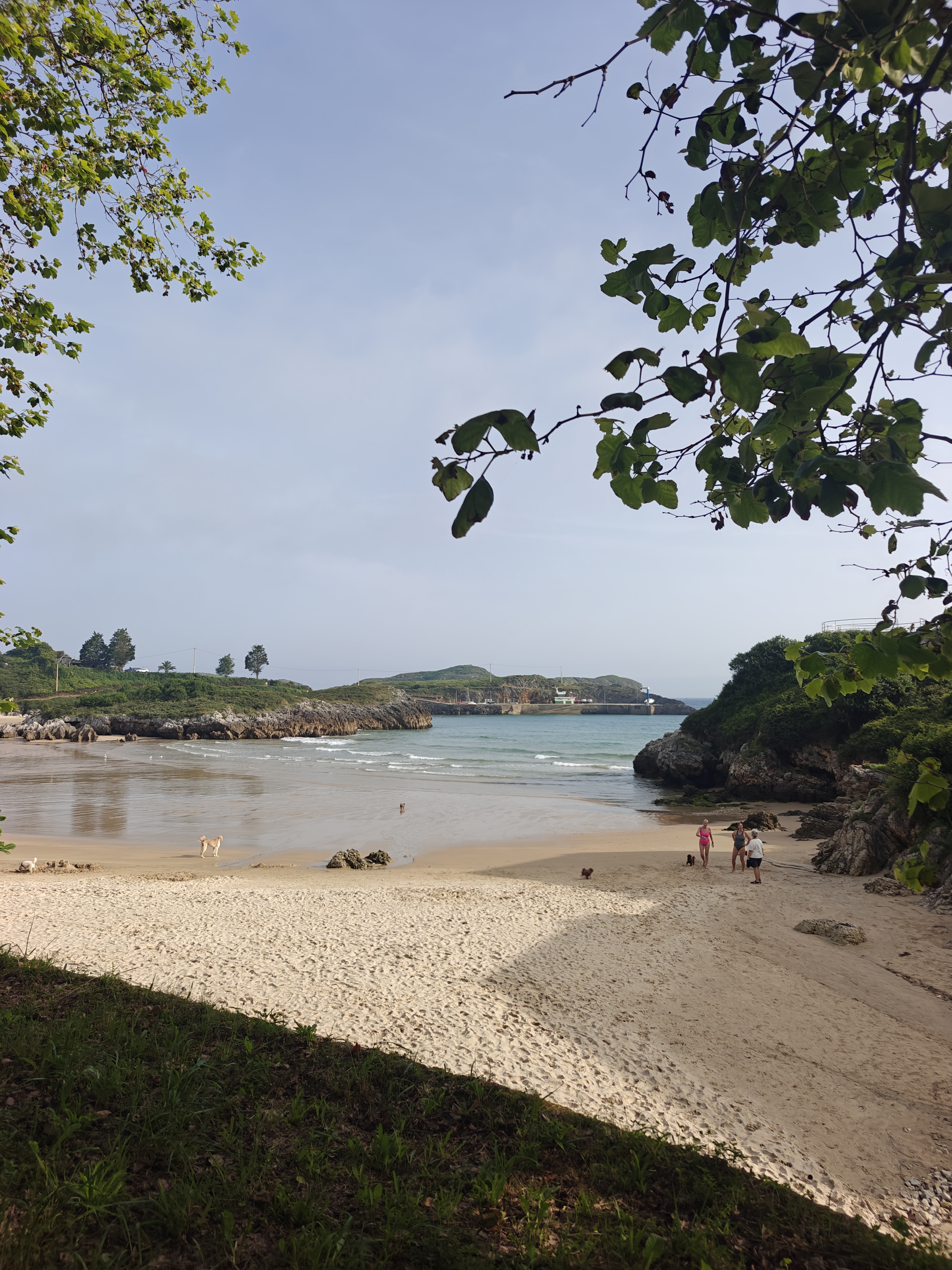 Dag 16 - Llanes 🥏 Ribadesella 10