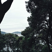 IMG 20260521 133224