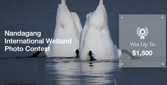 2026 Nandagang International Wetland Photo Contest